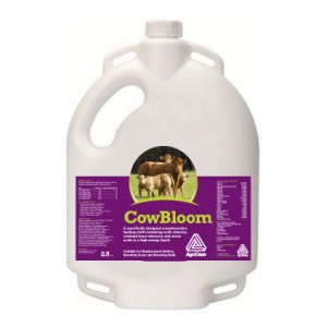 cowbloom